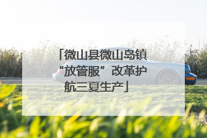 微山县微山岛镇“放管服”改革护航三夏生产