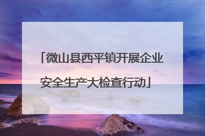 微山县西平镇开展企业安全生产大检查行动
