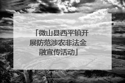 微山县西平镇开展防范涉农非法金融宣传活动