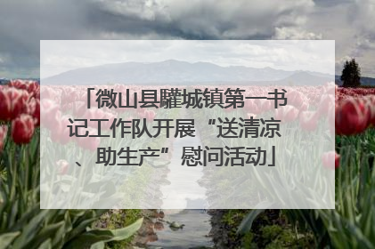 微山县驩城镇第一书记工作队开展“送清凉、助生产”慰问活动