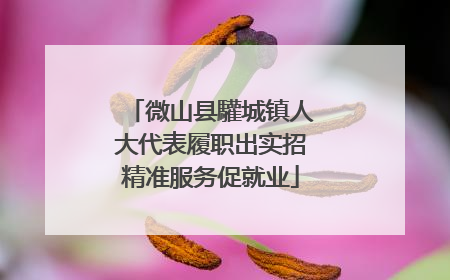 微山县驩城镇人大代表履职出实招精准服务促就业
