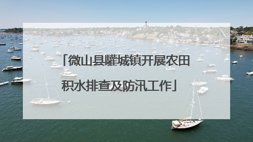微山县驩城镇开展农田积水排查及防汛工作