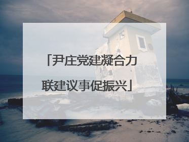 尹庄党建凝合力 联建议事促振兴