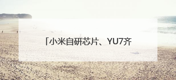 小米自研芯片、YU7齐发布！相关话题霸占热搜榜，雷军一夜涨粉超20万