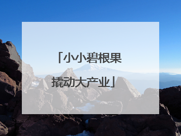小小碧根果撬动大产业