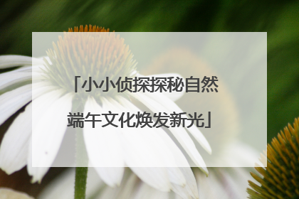 小小侦探探秘自然 端午文化焕发新光