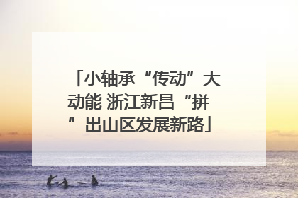 小轴承“传动”大动能 浙江新昌“拼”出山区发展新路