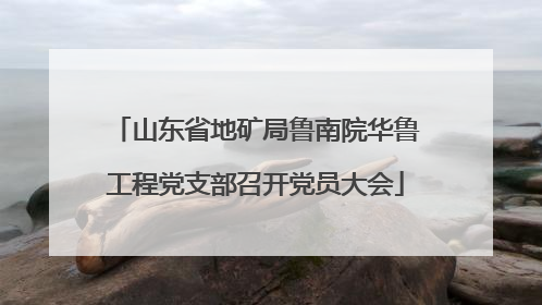 山东省地矿局鲁南院华鲁工程党支部召开党员大会