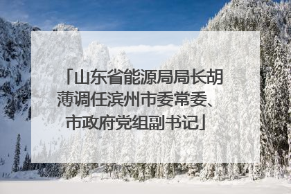 山东省能源局局长胡薄调任滨州市委常委、市政府党组副书记