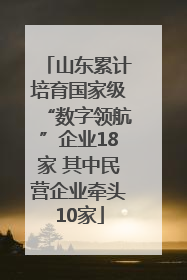 山东累计培育国家级“数字领航”企业18家 其中民营企业牵头10家