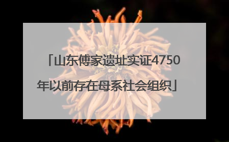 山东傅家遗址实证4750年以前存在母系社会组织
