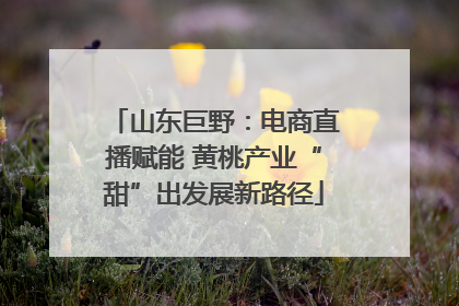 山东巨野：电商直播赋能 黄桃产业“甜”出发展新路径