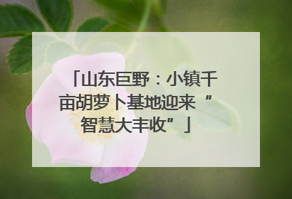 山东巨野：小镇千亩胡萝卜基地迎来“智慧大丰收”
