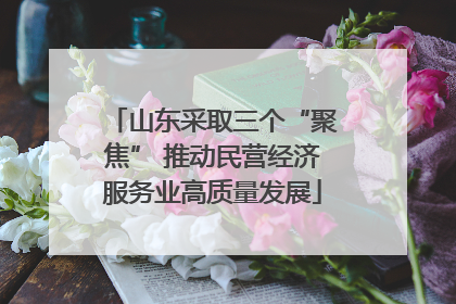 山东采取三个“聚焦” 推动民营经济服务业高质量发展