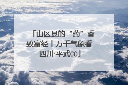 山区县的“药”香致富经丨万千气象看四川·平武③