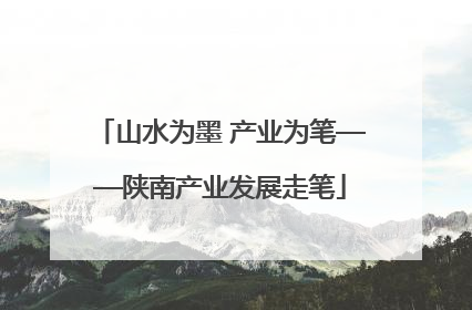 山水为墨 产业为笔——陕南产业发展走笔