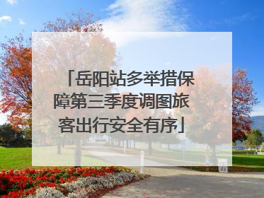 岳阳站多举措保障第三季度调图旅客出行安全有序