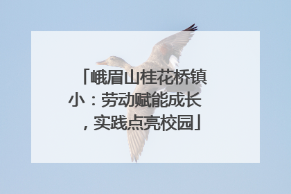 峨眉山桂花桥镇小：劳动赋能成长，实践点亮校园