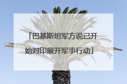 巴基斯坦军方说已开始对印展开军事行动