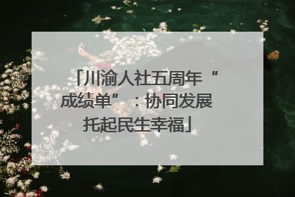 川渝人社五周年“成绩单”：协同发展托起民生幸福