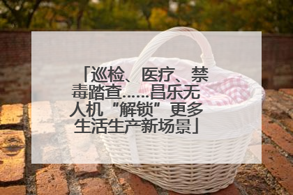 巡检、医疗、禁毒踏查……昌乐无人机“解锁”更多生活生产新场景