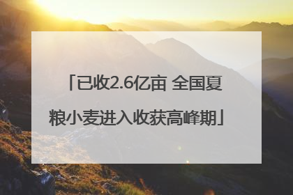 已收2.6亿亩 全国夏粮小麦进入收获高峰期