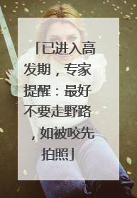 已进入高发期，专家提醒：最好不要走野路，如被咬先拍照