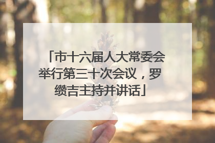 市十六届人大常委会举行第三十次会议，罗缵吉主持并讲话