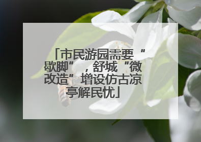 市民游园需要“歇脚”，舒城“微改造”增设仿古凉亭解民忧