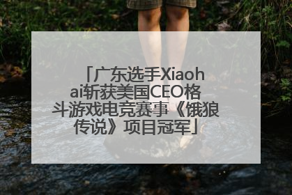 广东选手Xiaohai斩获美国CEO格斗游戏电竞赛事《饿狼传说》项目冠军