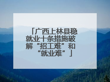 广西上林县稳就业十条措施破解“招工难”和“就业难”