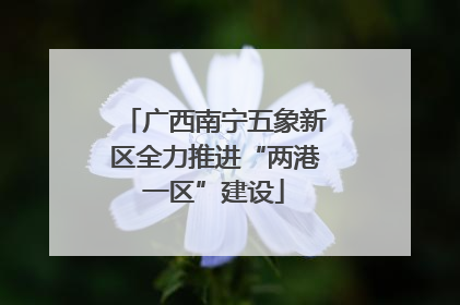 广西南宁五象新区全力推进“两港一区”建设