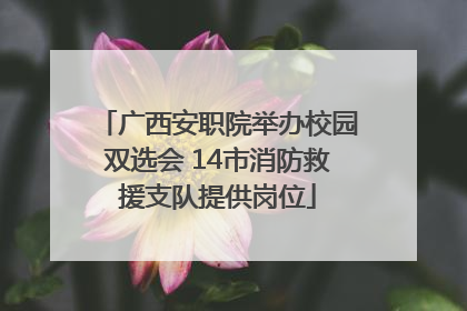 广西安职院举办校园双选会 14市消防救援支队提供岗位