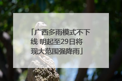 广西多雨模式不下线 明起至29日将现大范围强降雨