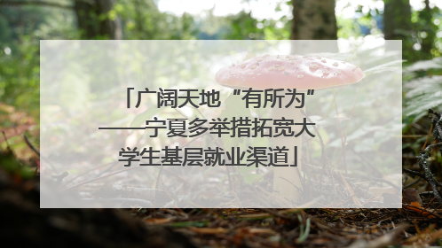 广阔天地“有所为”——宁夏多举措拓宽大学生基层就业渠道