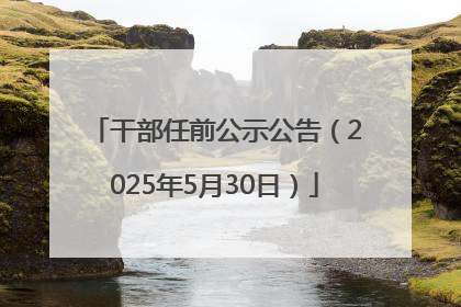 干部任前公示公告（2025年5月30日）