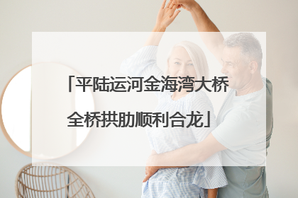 平陆运河金海湾大桥全桥拱肋顺利合龙