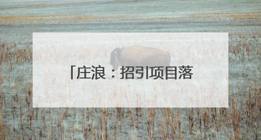 庄浪：招引项目落地 赋能产业振兴
