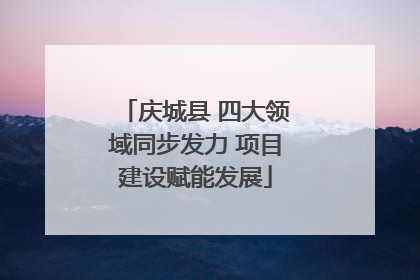 庆城县 四大领域同步发力 项目建设赋能发展