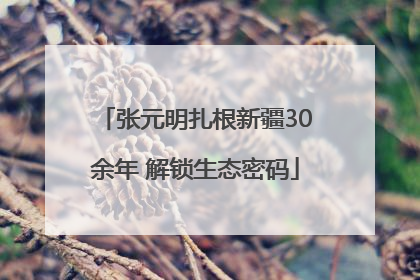 张元明扎根新疆30余年 解锁生态密码