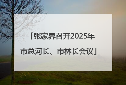 张家界召开2025年市总河长、市林长会议