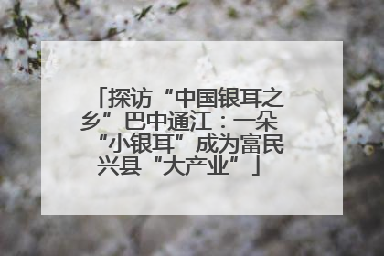 探访“中国银耳之乡”巴中通江：一朵“小银耳”成为富民兴县“大产业”