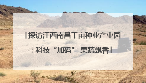 探访江西南昌千亩种业产业园：科技“加码” 果蔬飘香