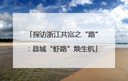 探访浙江共富之“路”：县城“虾路”焕生机