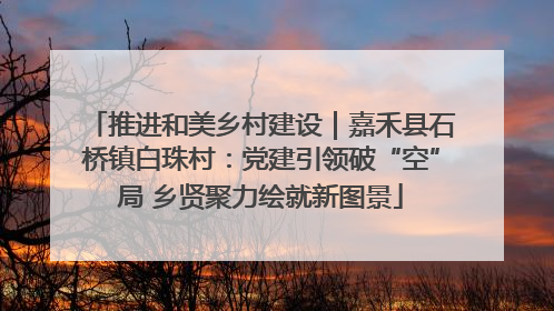 推进和美乡村建设｜嘉禾县石桥镇白珠村：党建引领破“空”局 乡贤聚力绘就新图景