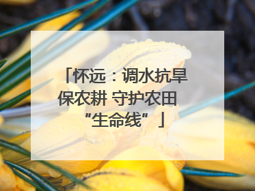 怀远：调水抗旱保农耕 守护农田 “生命线”