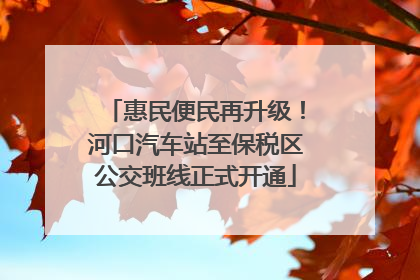 惠民便民再升级！河口汽车站至保税区公交班线正式开通