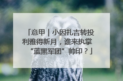 意甲｜小因扎吉转投利雅得新月，谁来执掌“蓝黑军团”帅印？