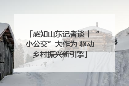 感知山东记者谈丨“小公交”大作为 驱动乡村振兴新引擎