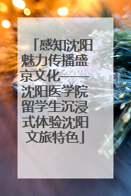 感知沈阳魅力传播盛京文化——沈阳医学院留学生沉浸式体验沈阳文旅特色